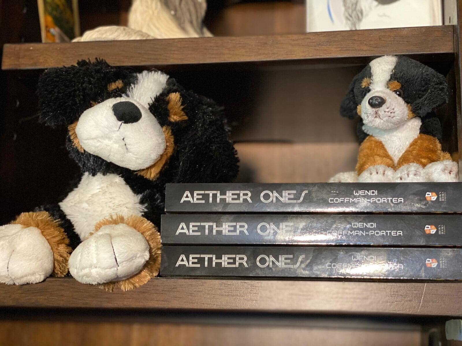 Two Berner toys next to a stack of books with the title Aether Ones